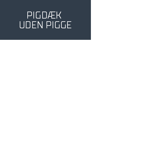 195/55R16 91H BRIDGESTONE BLIZZAK LM005 XL