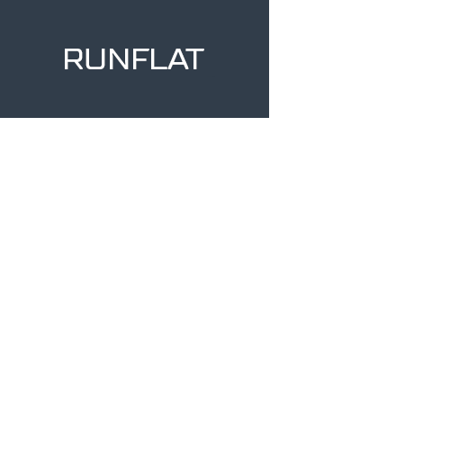 205/50R17 89V BRIDGESTONE POTENZA RE050A